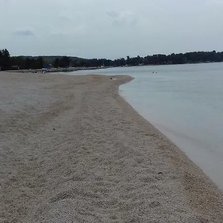 Maja Apartmán *