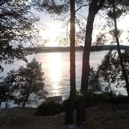 Maja * Pula